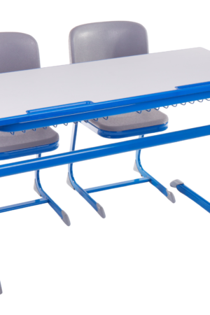 Double Seater Desk & PU Chair